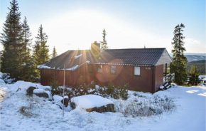 Amazing home in Sjusjøen with Sauna and 3 Bedrooms